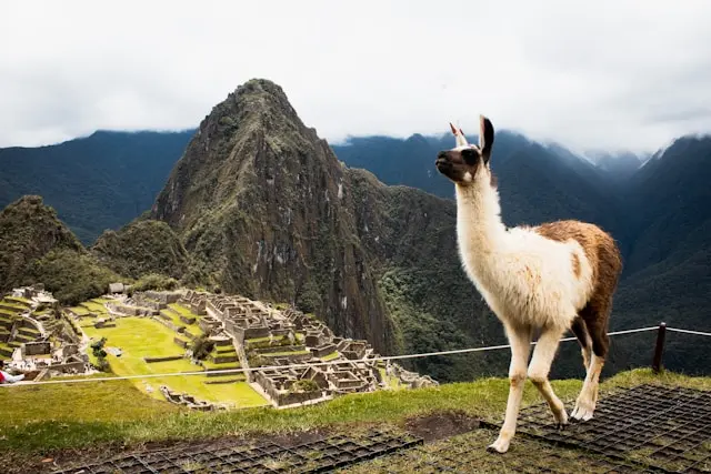 circuito2machupicchu